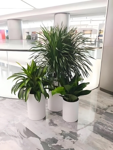 揭秘宁波海曙绿化养护价格，不容错过！